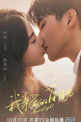 营口网站优化代理商